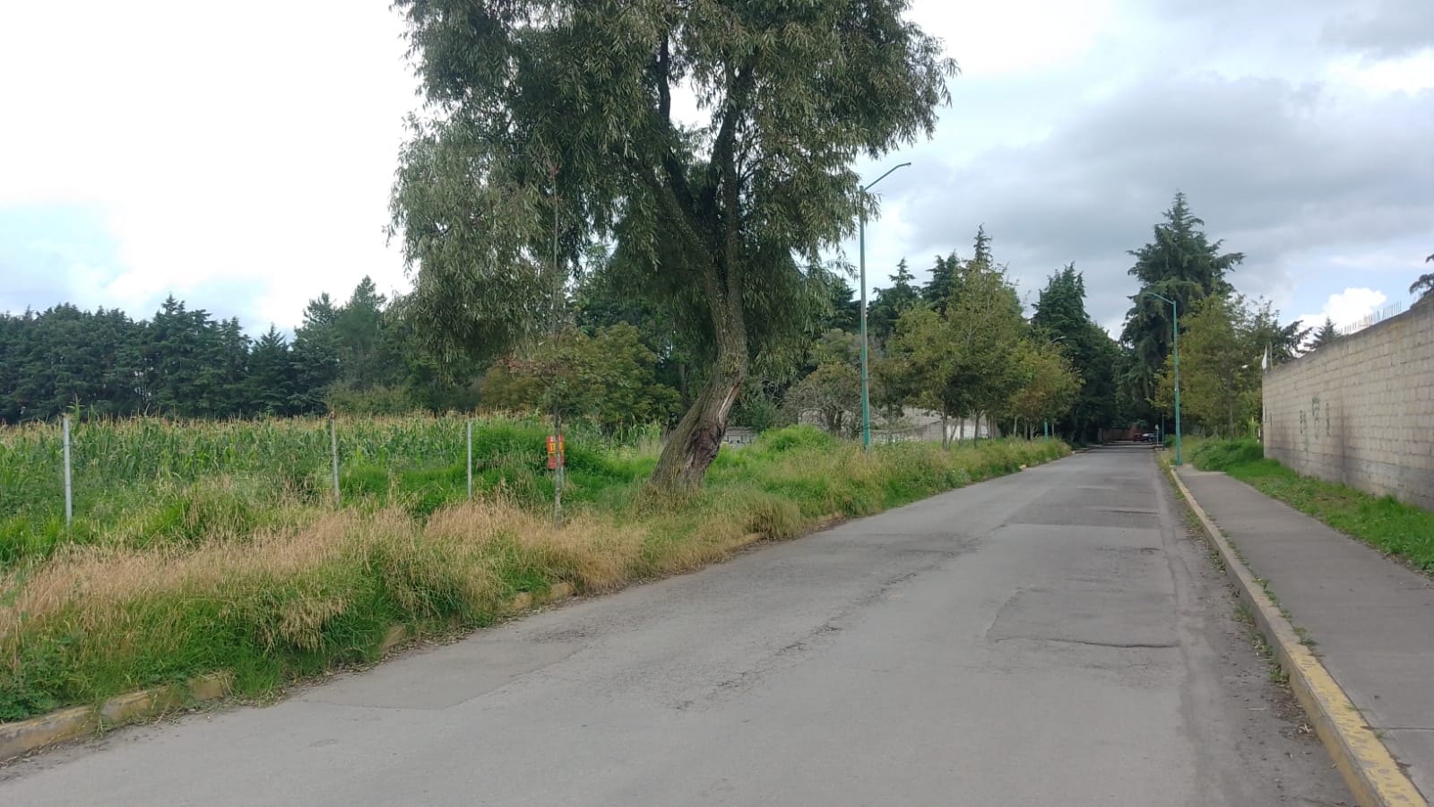 Terreno en Venta en Llano Grande