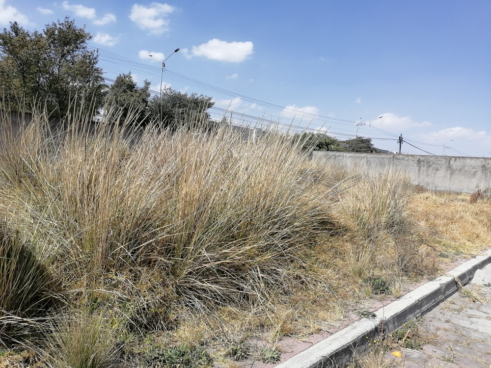 Terreno en Venta en Lázaro Cárdenas