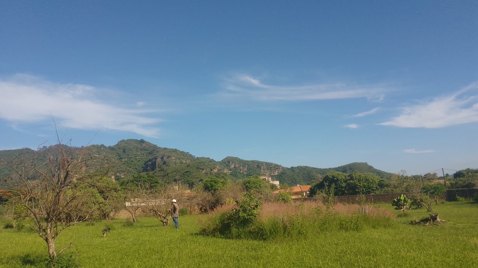 Terreno en Venta en Malinalco