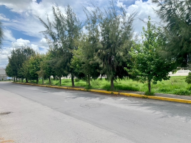Terreno en Venta en San Salvador Tizatlalli