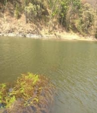 Terreno en Renta en Chapa de Mota