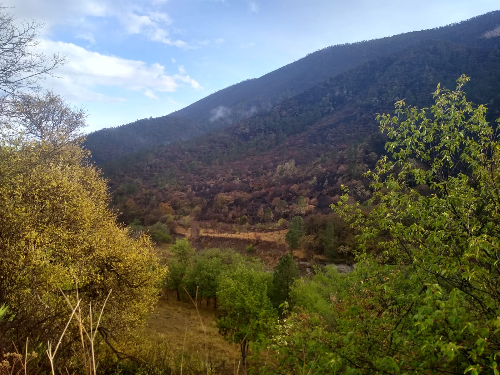 Terreno en Venta en San Juan de los Dolores