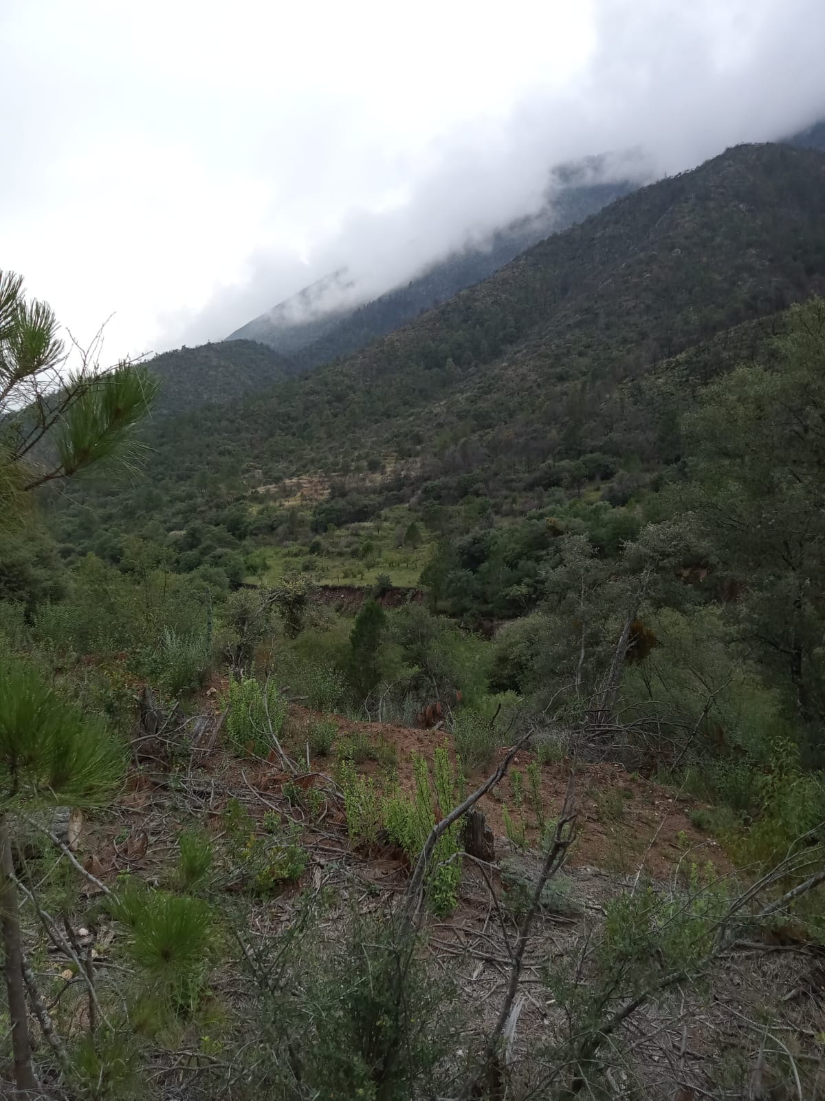 Terreno en Venta en San Juan de los Dolores