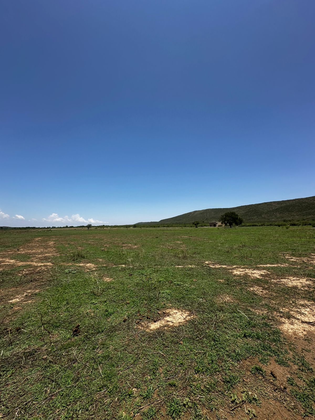 Terreno en Venta en RANCHO LA VAQUERIA
