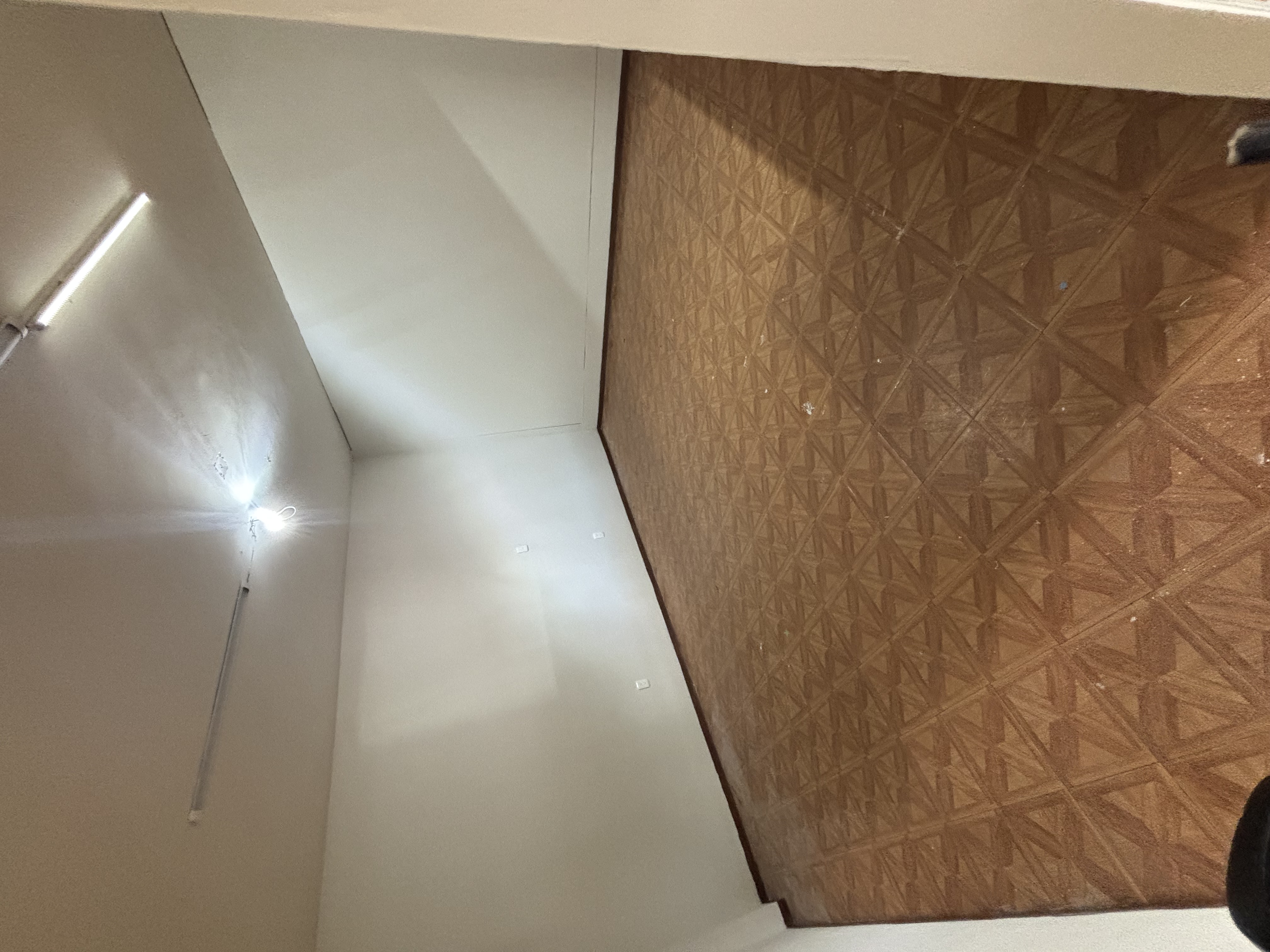 Local en Renta en Latinoamericana