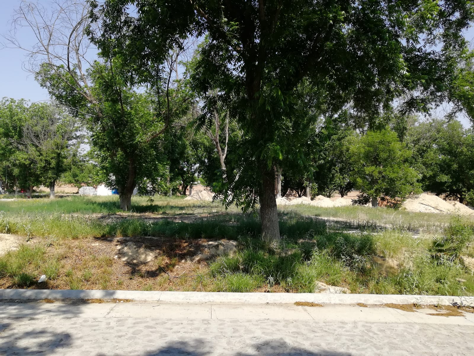 Terreno en Venta en San Alberto