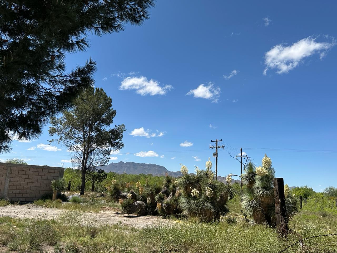 Terreno en Venta en Los Siller