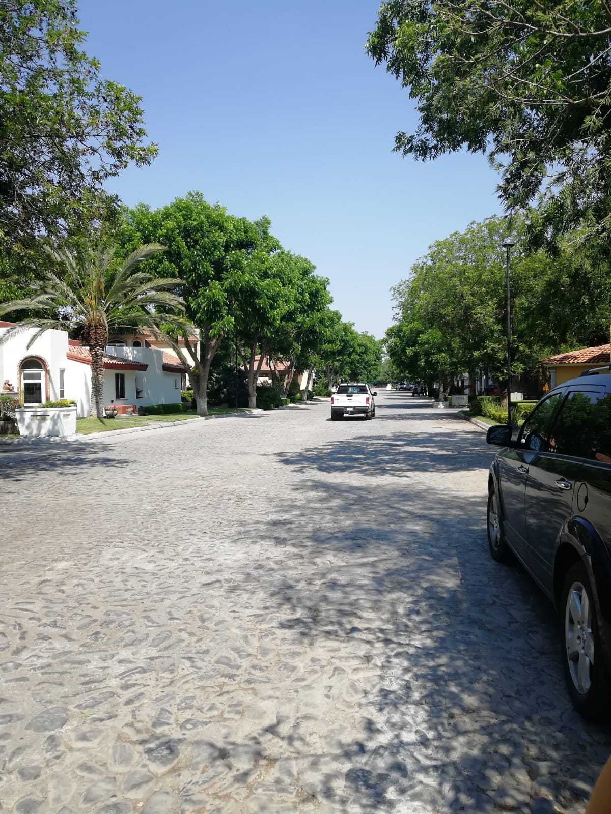 Terreno en Venta en San Alberto