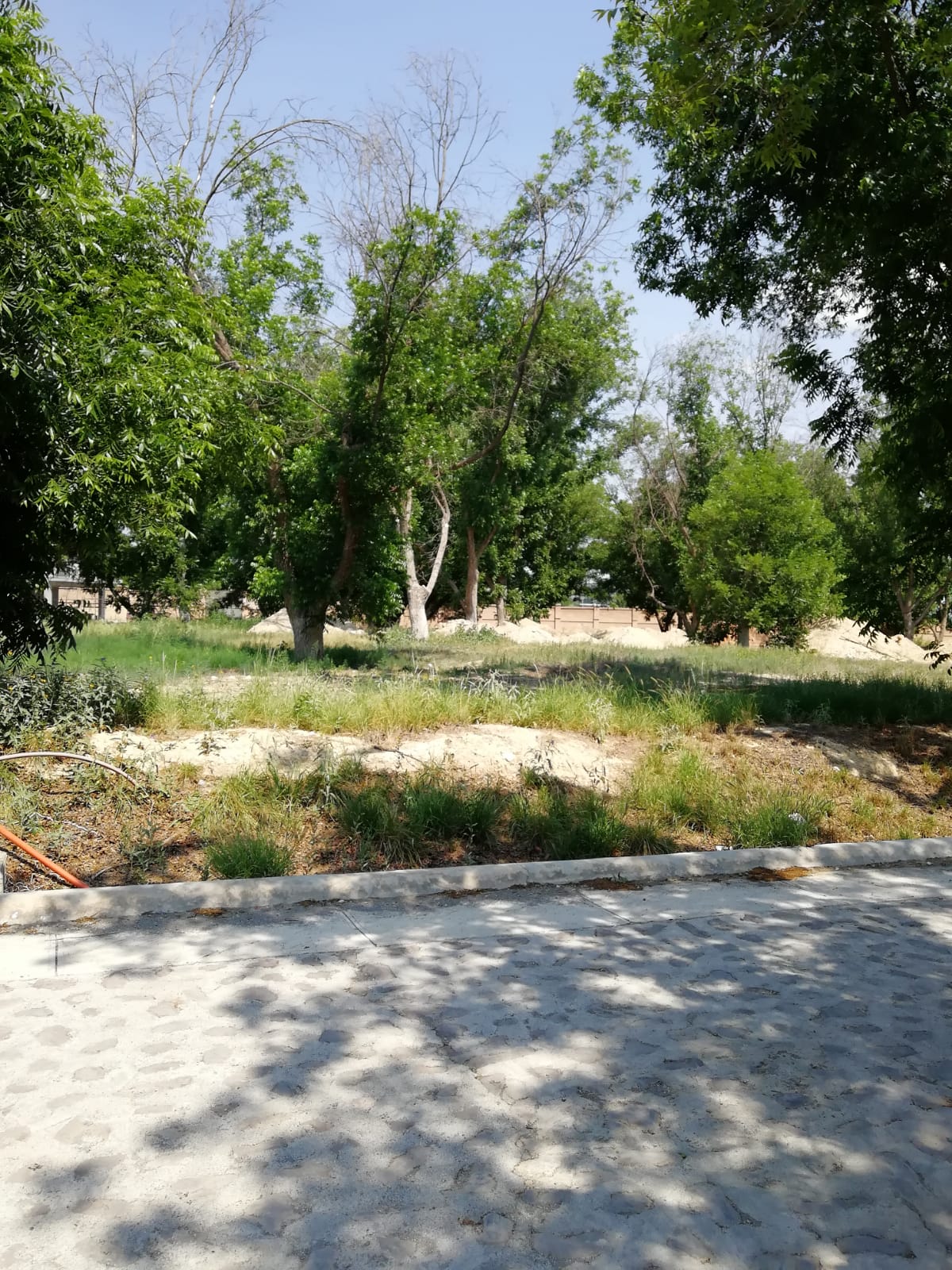Terreno en Venta en San Alberto
