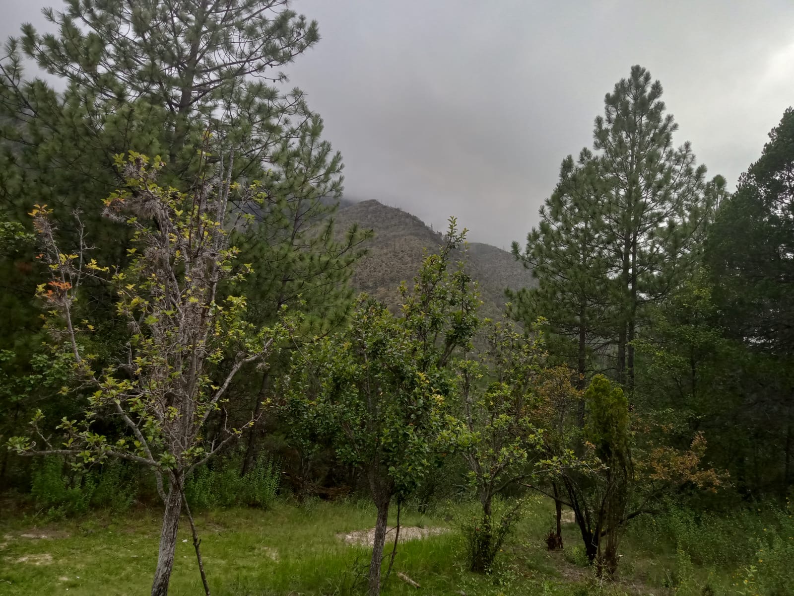 Terreno en Venta en San Juan de los Dolores