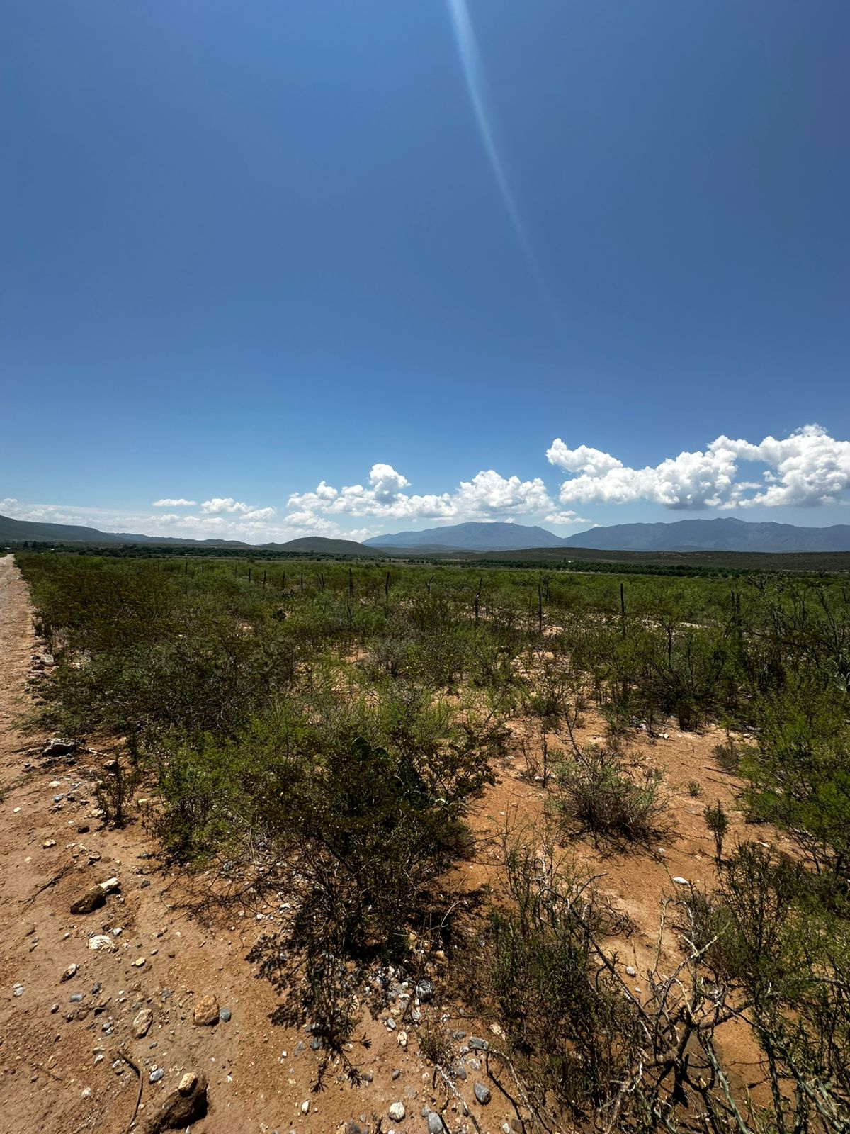 Terreno en Venta en RANCHO LA VAQUERIA