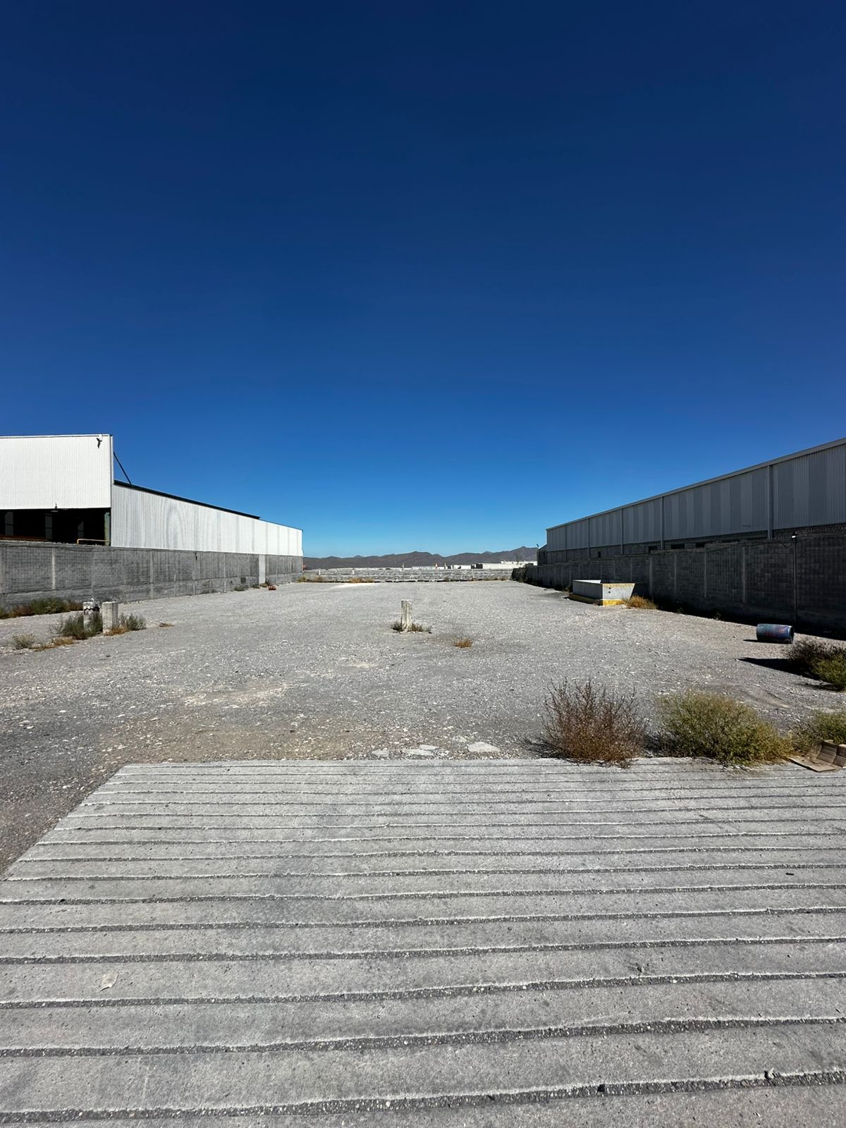 Terreno en Renta en Parque Industrial Ramos Arizpe