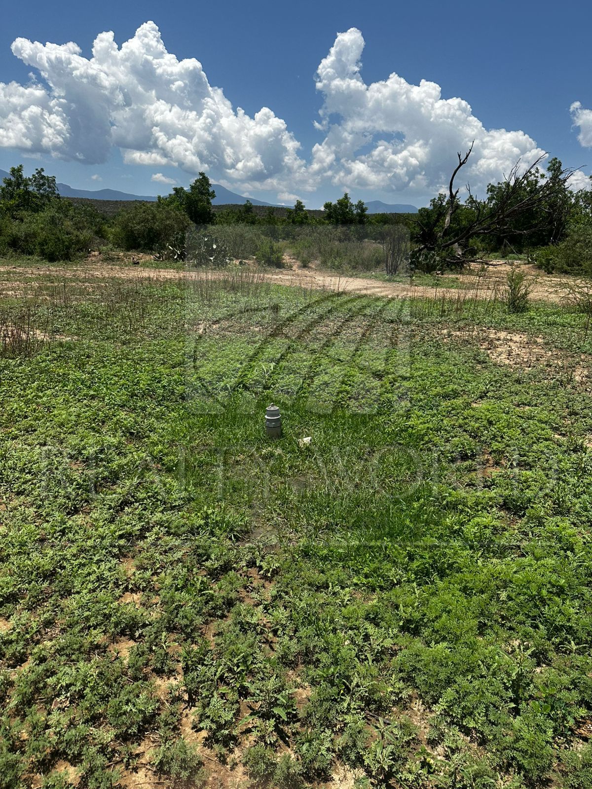 Terreno en Venta en RANCHO LA VAQUERIA