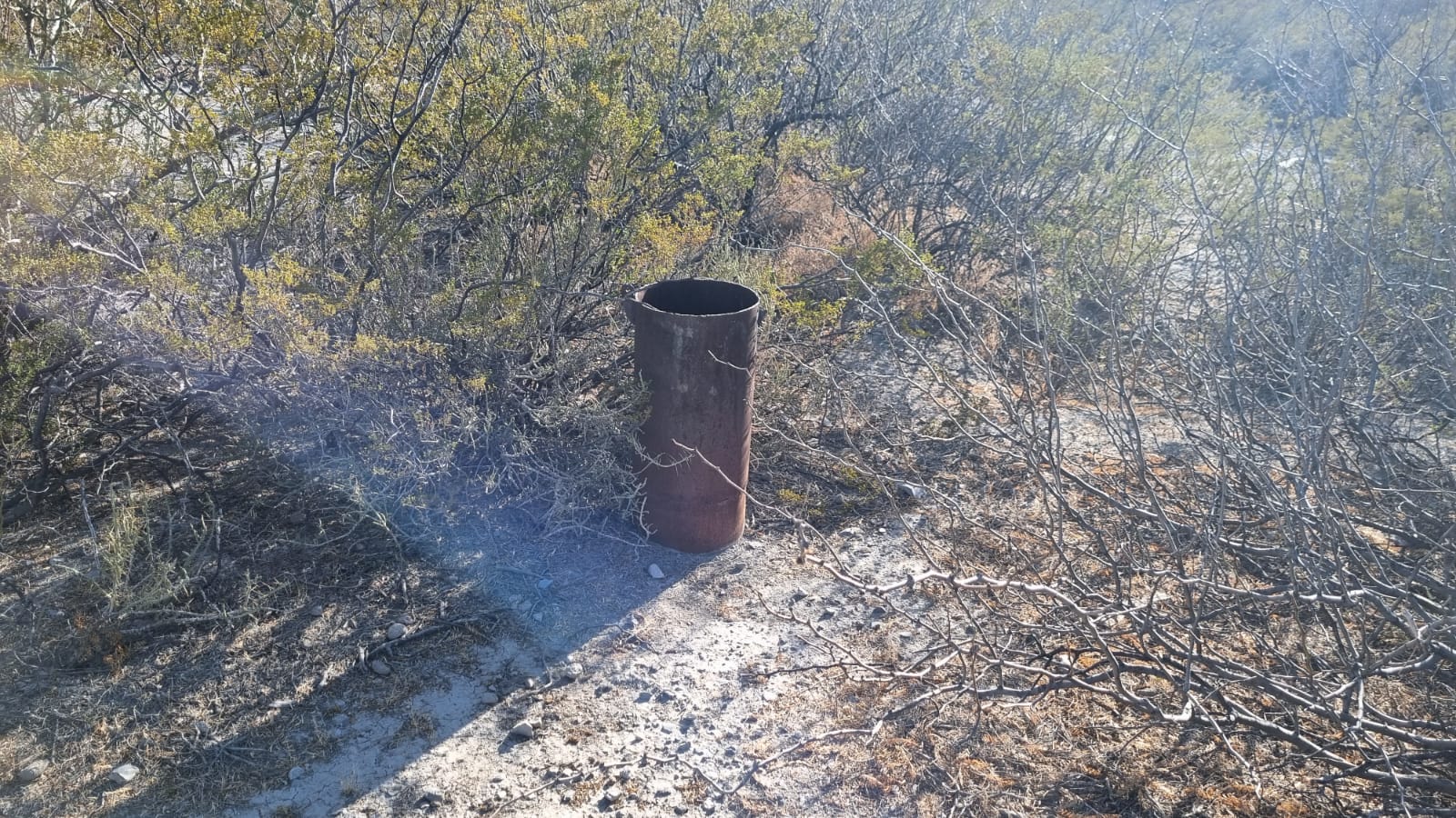 Terreno en Venta en Sin Colonia