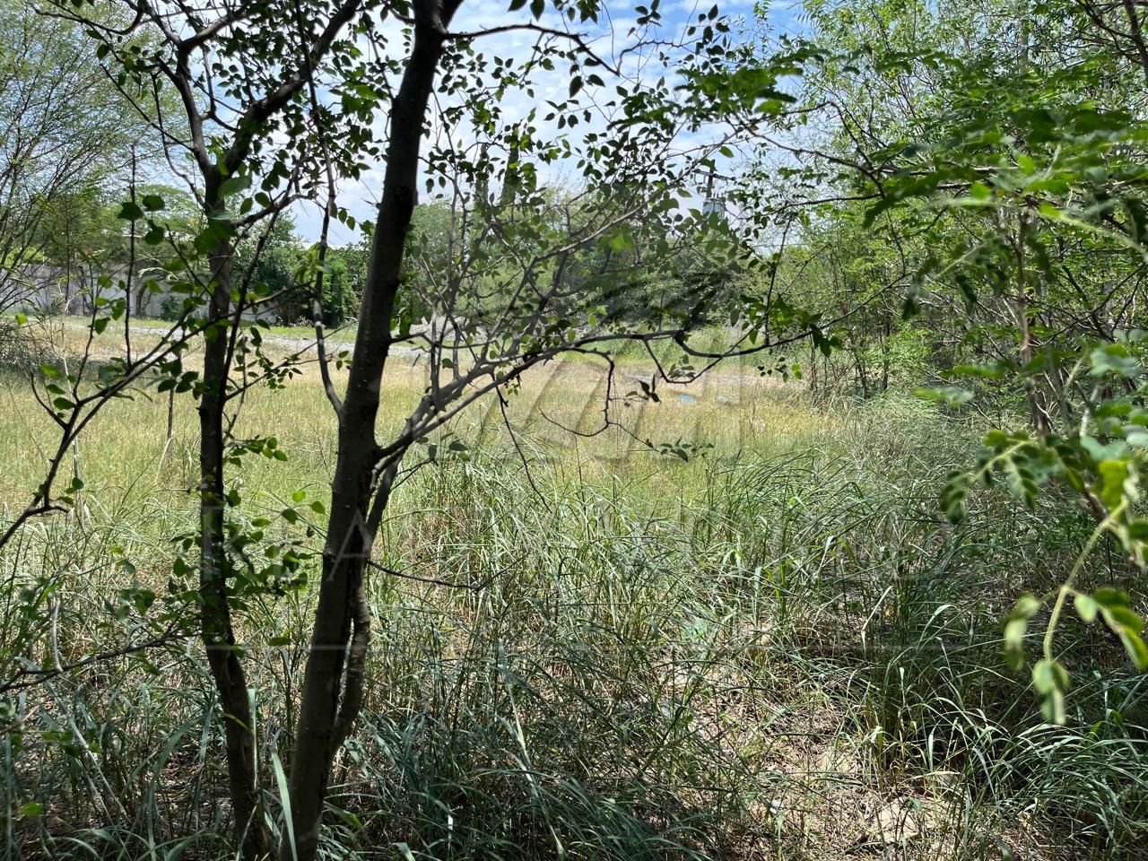 Terreno en Venta en Del Maestro