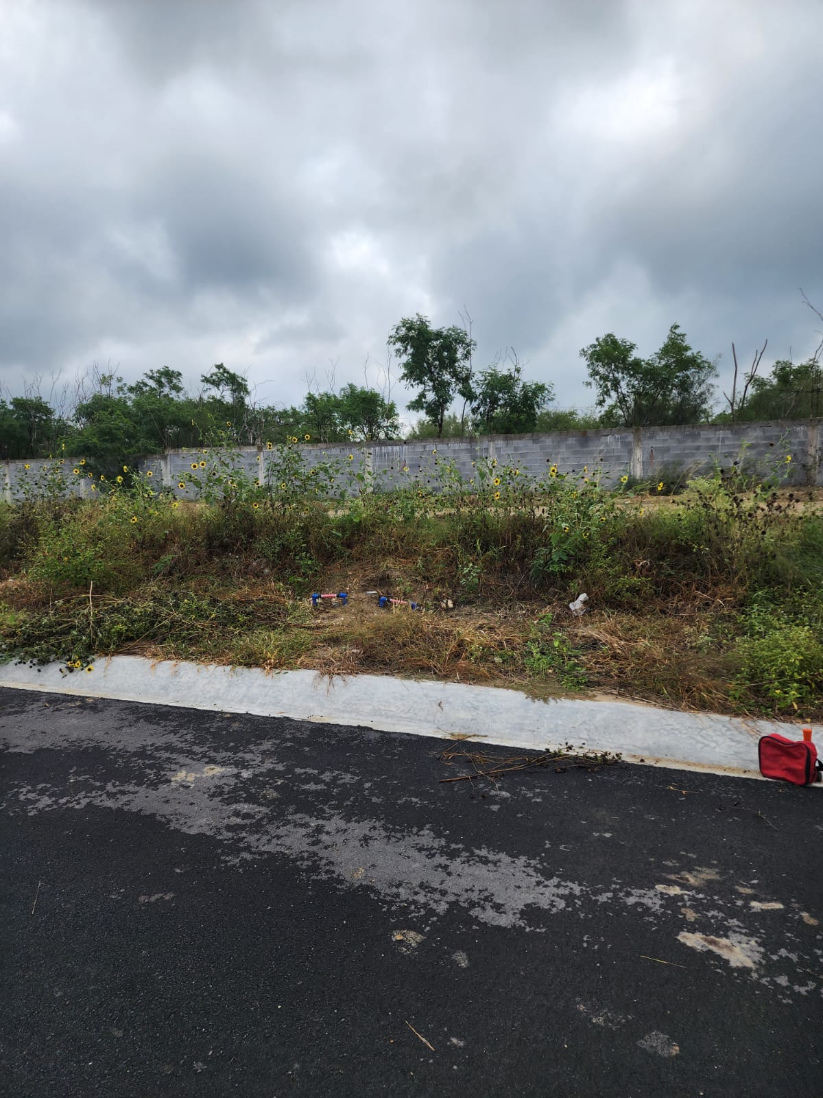 Terreno en Venta en Koel