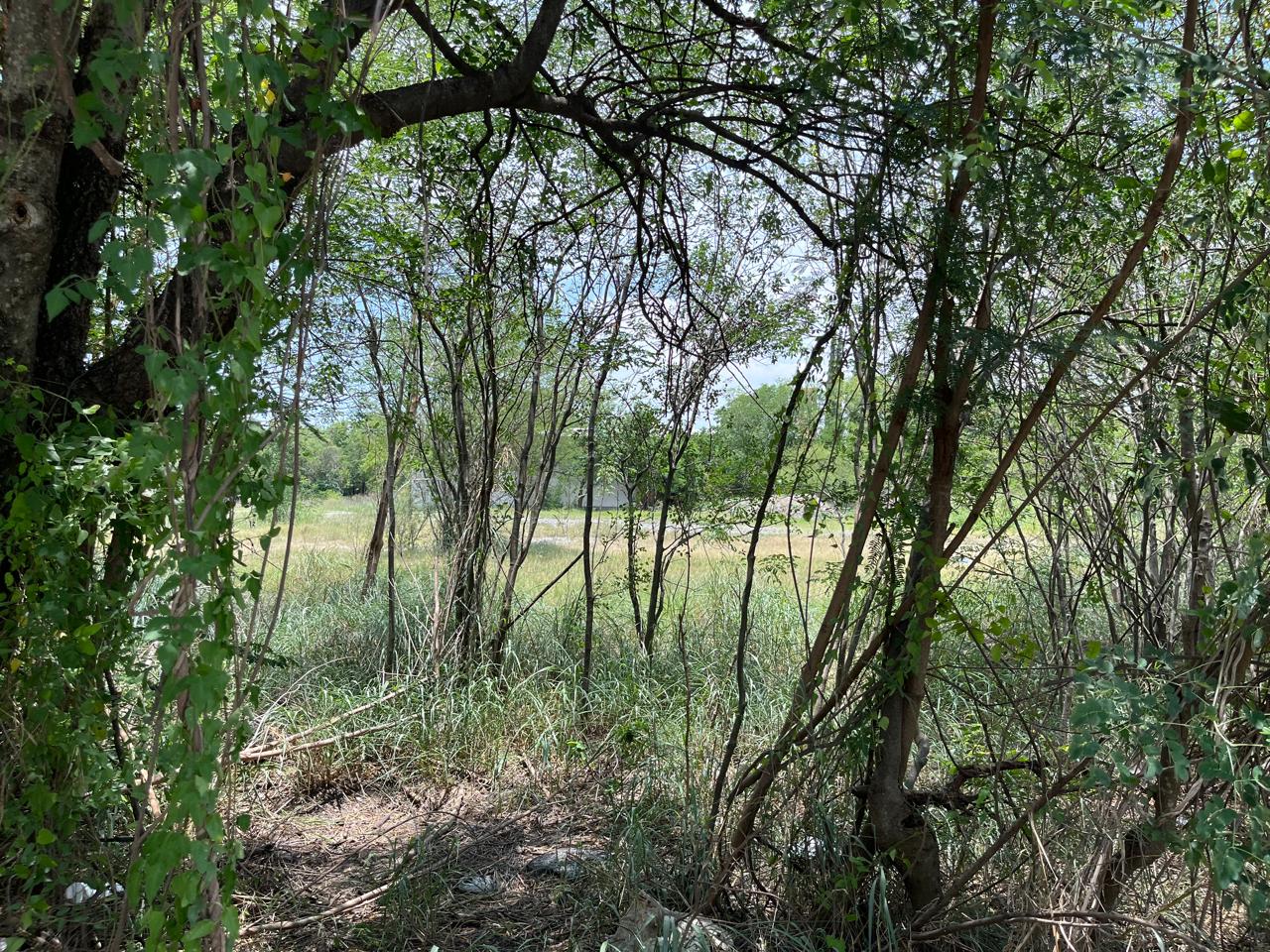 Terreno en Venta en Del Maestro