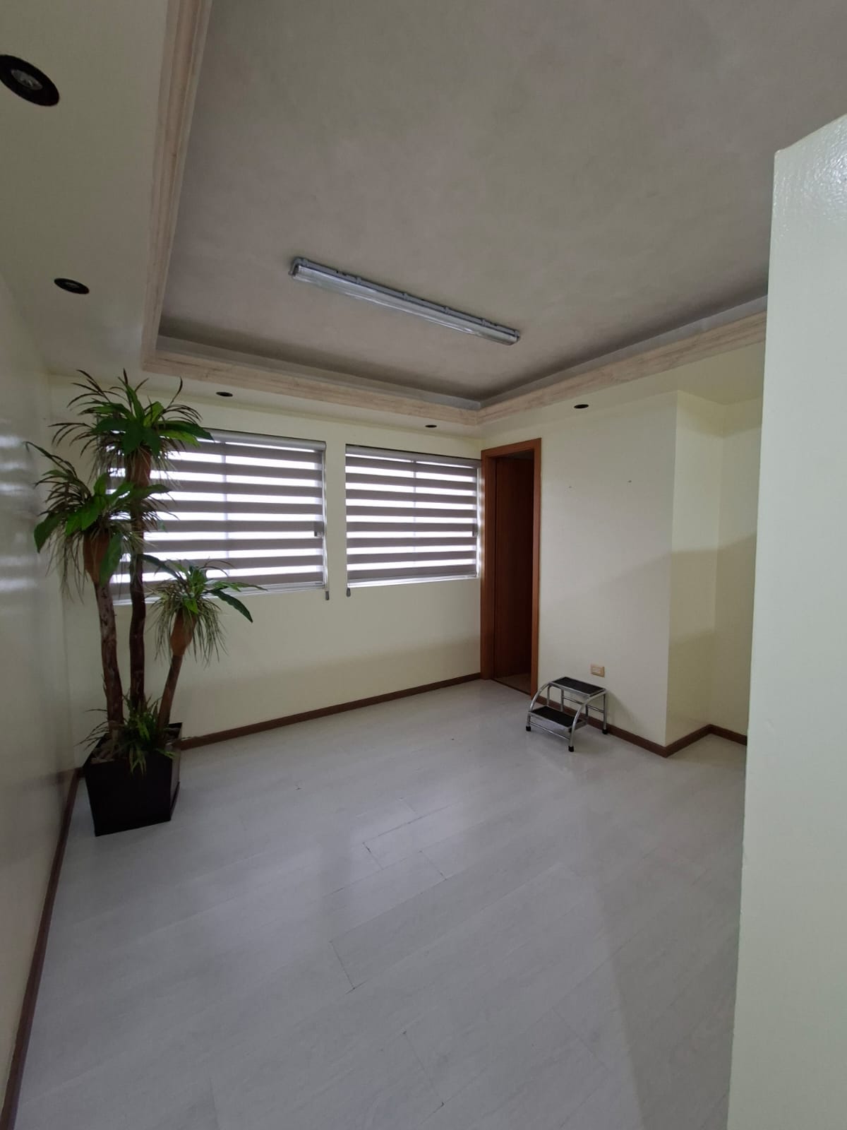 Oficina en Renta en Obispado