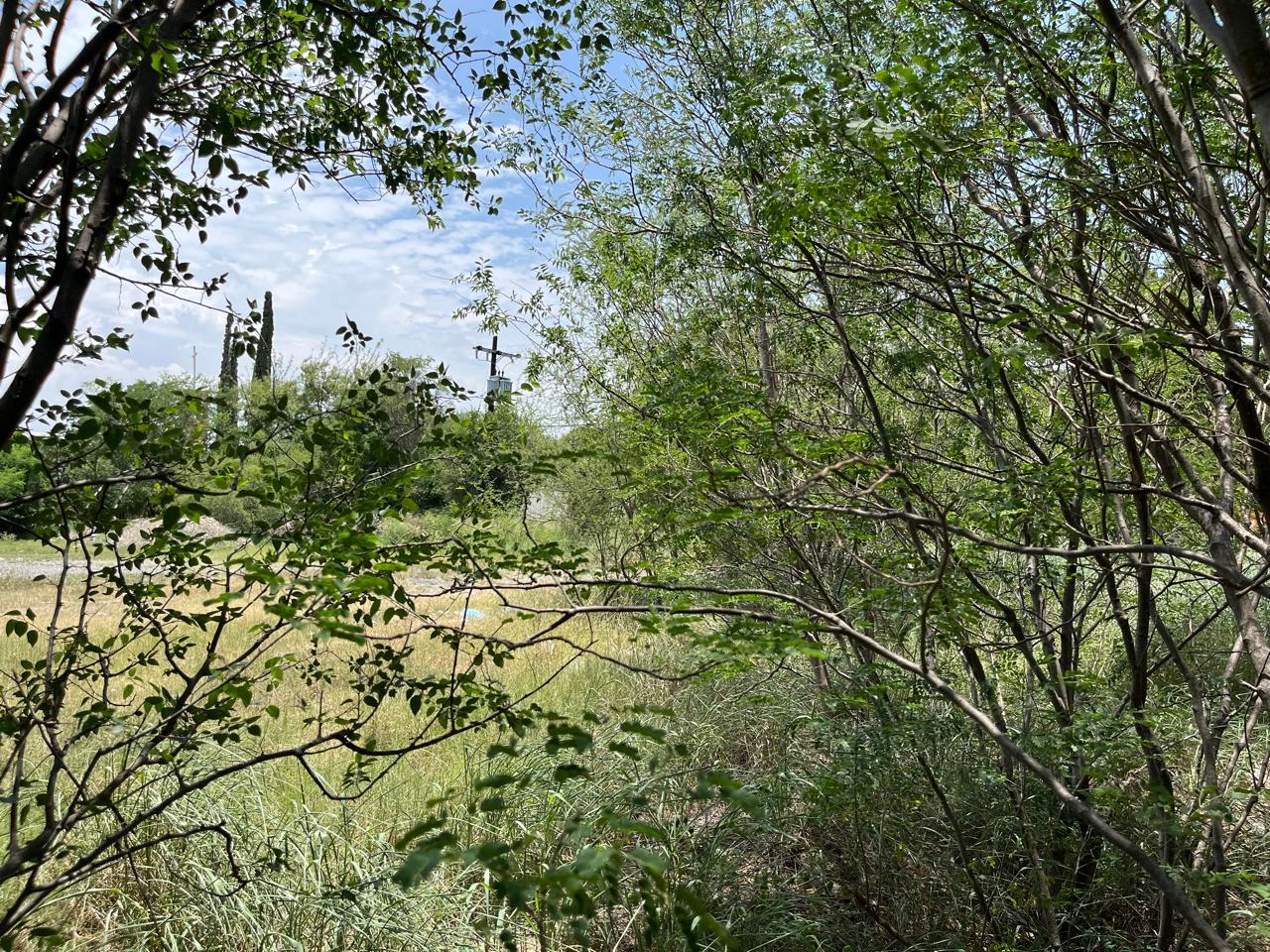 Terreno en Venta en Del Maestro
