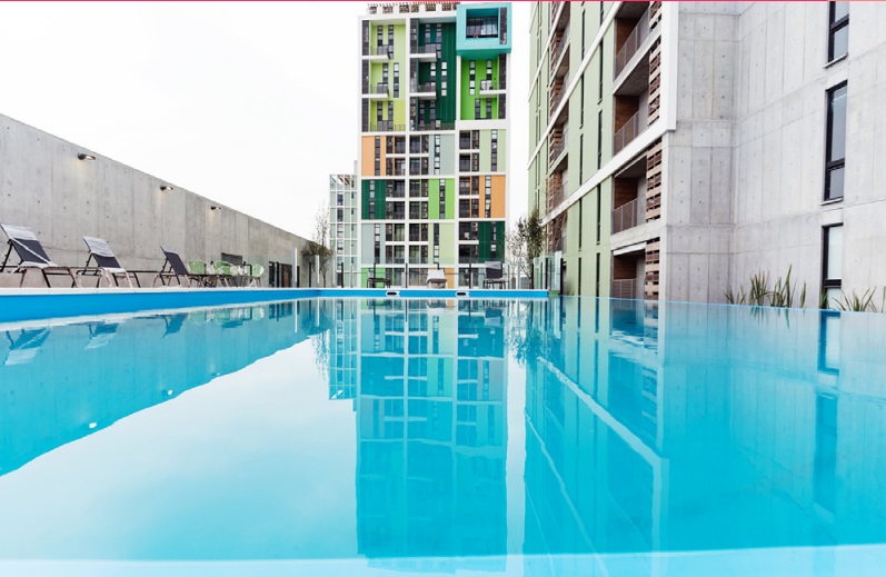 Departamento en Renta en Semillero