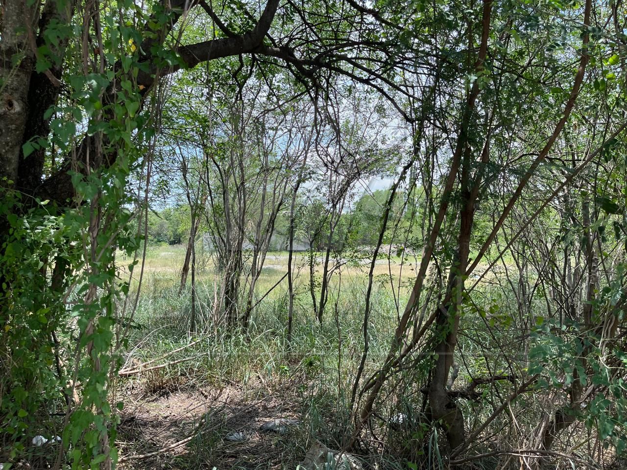 Terreno en Venta en Del Maestro