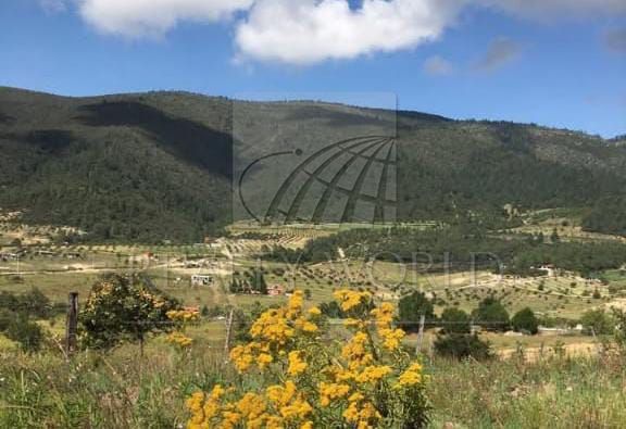 Terreno en Venta en Mesa de las Tablas