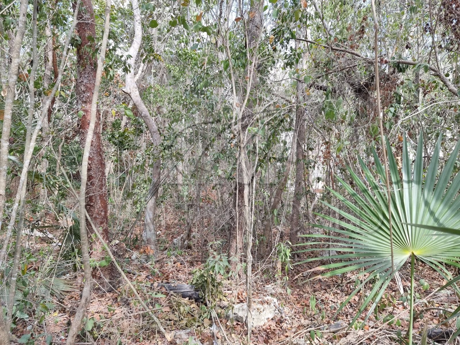 Terreno en Venta en La Veleta