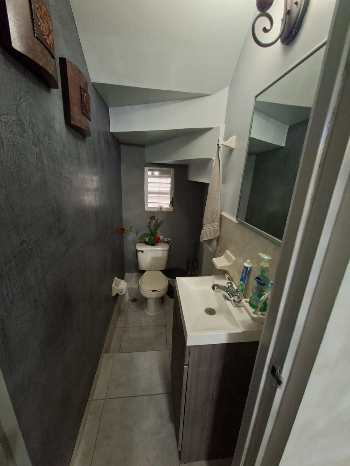 Casa en Renta en Paraje Anáhuac