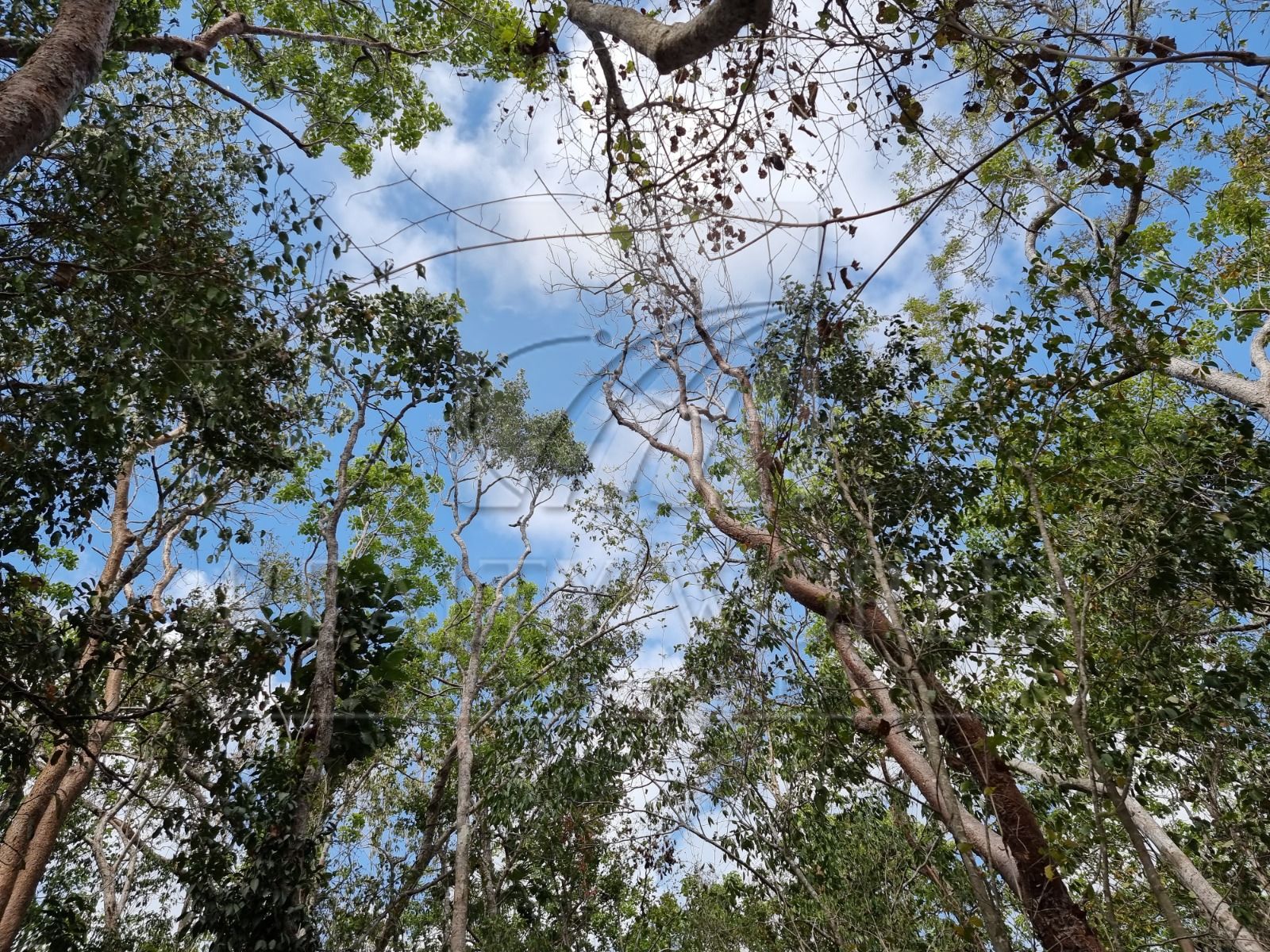Terreno en Venta en La Veleta