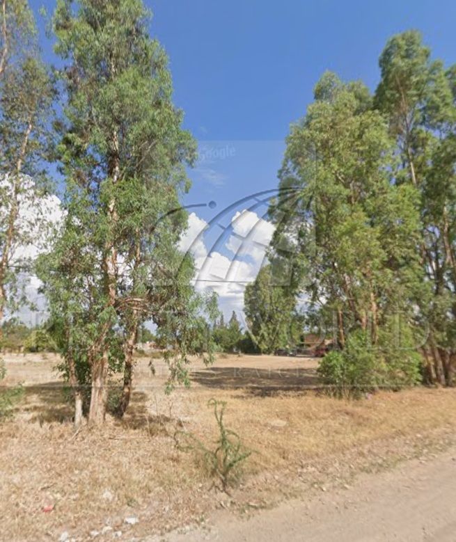 Terreno en Venta en Canatlán de las Manzanas Centro