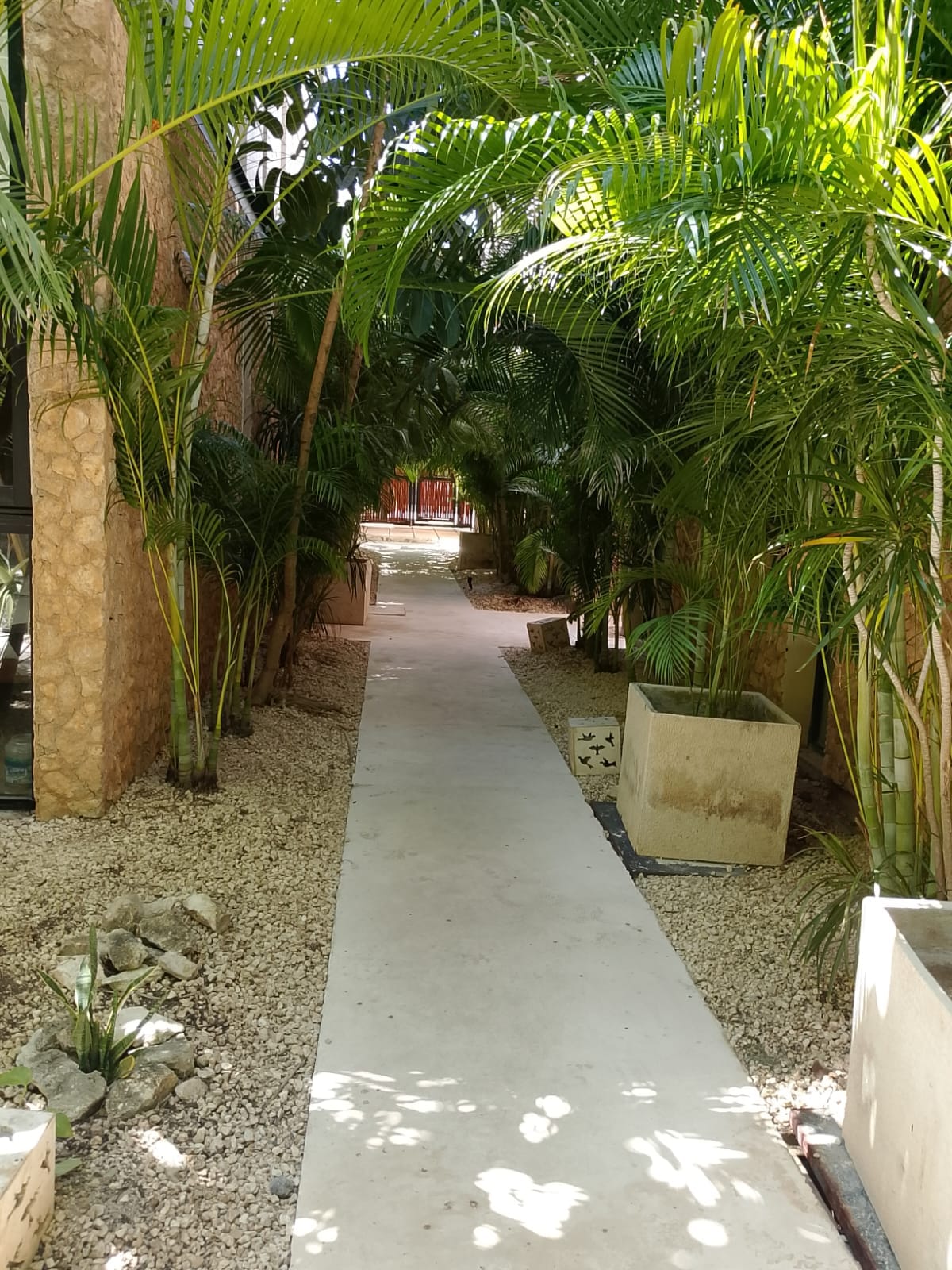 Departamento en Venta en Aldea Zama