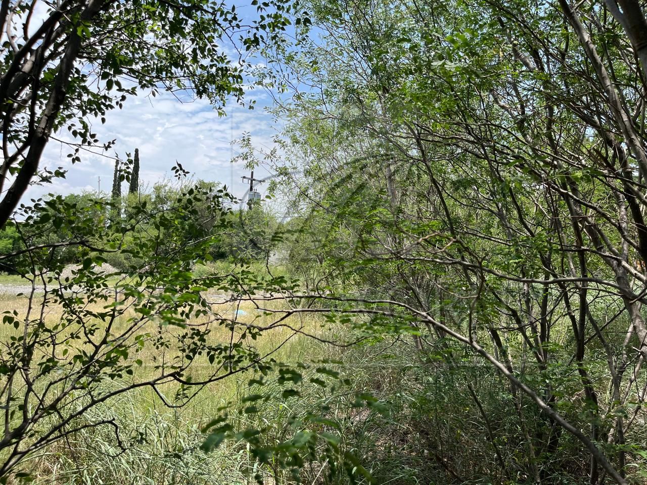 Terreno en Venta en Del Maestro