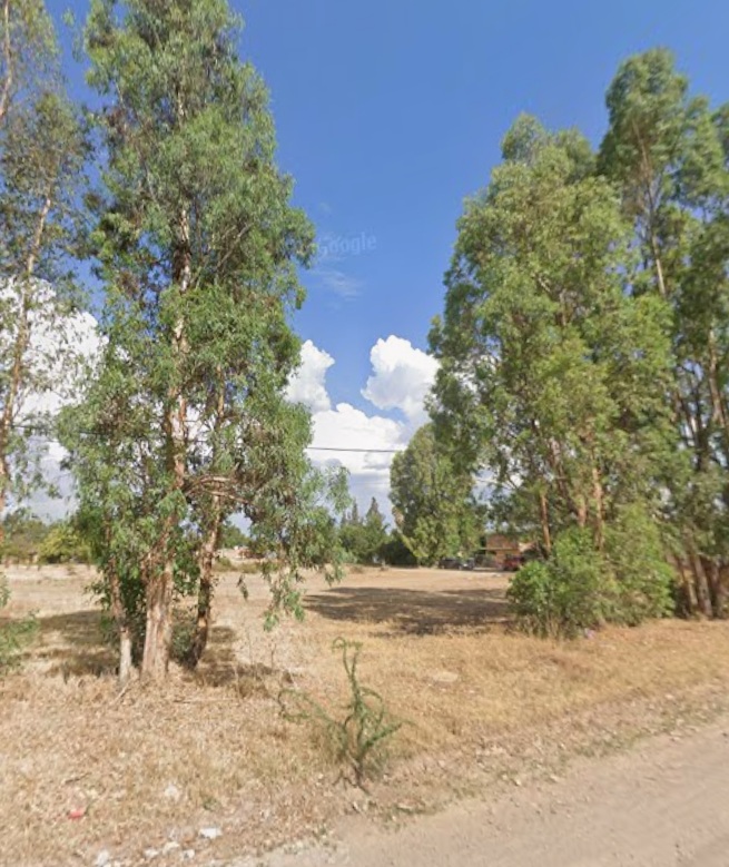 Terreno en Venta en Canatlán de las Manzanas Centro