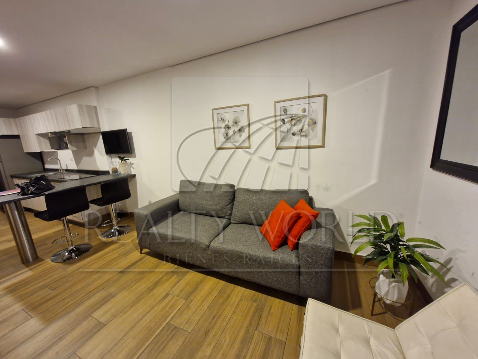 Departamento en Renta en Semillero