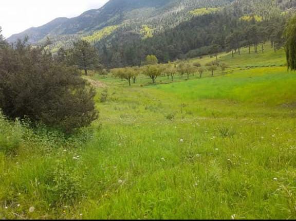 Terreno en Venta en Mesa de las Tablas