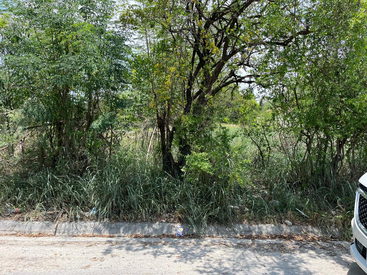 Terreno en Venta en Del Maestro